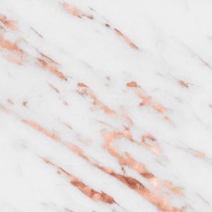 Meet your Posher, Elaya